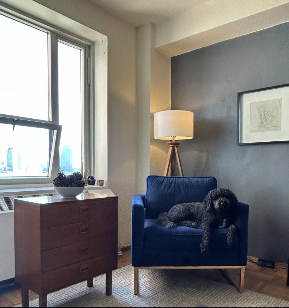gallery grid image
